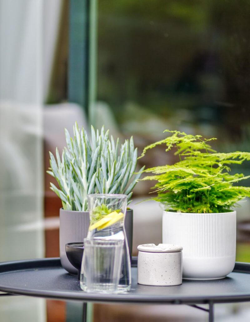 IN THE MIDDLE Ostróda 2